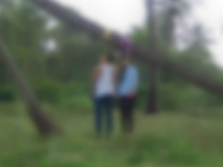 Couple commit suicide by hanging together in a tree Shivrajpur forest હાલોલના જંગલમાં પ્રેમી પંખીડાએ એકસાથે ગળે ફાંસો ખાઈને કર્યો આપઘાત, કારણ જાણીને ચોંકી જશો