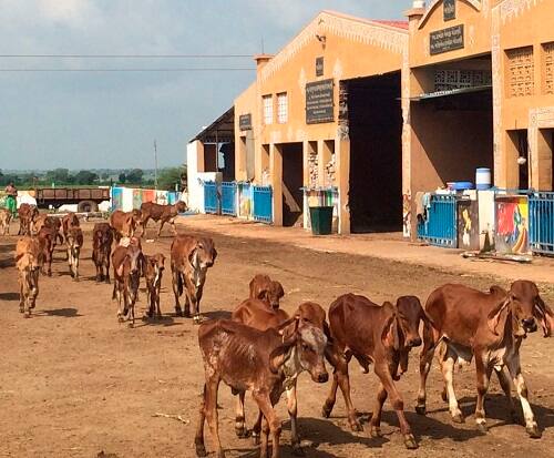 આ પ્રંસગે મોરારિબાપુ, અહેમદ પટેલ, દ્વારકેશલાલજી મહારાજ, ડો.ગુણવંત શાહ સહિત મહાનુભાવો ઉપસ્થિત રહેવાના છે. આ ઉપરાંત સુરત કોંગ્રેસના નેતા કદીર પિરઝાદા આ ટ્રસ્ટ સાથે જોડાયેલા છે. 
