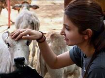 બોલીવુડની આ સ્ટાર એક્ટ્રેસ પ્રાણીઓ માટે ખોલશે હોસ્પિટલ, જાણો વિગત