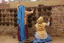 બોલીવુડની આ બે હોટ એક્ટ્રેસ છાણા થાપવા થઈ મજબૂર, જાણો વિગત