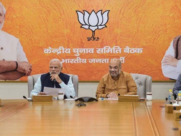 Loksabha Election 2019: BJP CEC Meet Concludes, May Announce First Candidate List on Today ભાજપે ઉમેદવારોના નામ ફાઈનલ કર્યાં, પ્રથમ યાદી ક્યારે થઈ શકે છે જાહેર