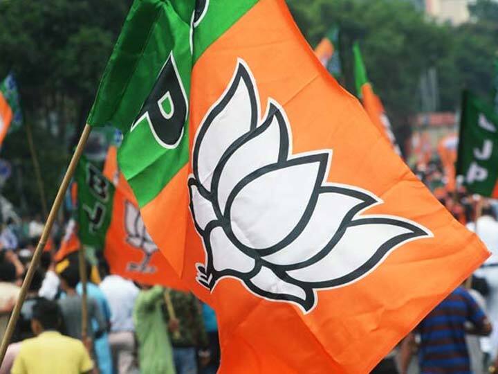 Lok Sabha election: Natubhai Patel Will contest elections Dadra Nagar Haveli દાદરા નગર હવેલી પર ભાજપે કયા પટેલને આપી ટીકિટ, જાણો વિગત