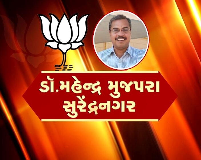 Loksabha Elections 2019: Know which Gujarat MP not get ticket  લોકસભા ચૂંટણીઃ ગુજરાતમાં ક્યા સાંસદની કપાઈ ટિકિટ, જાણો વિગત