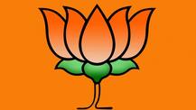 અગાઉથી ભાજપના ઉમેદવાર હોવાનો દાવો કરતા કયા સાંસદને ભાજપે ઉડાવી દીધા?
