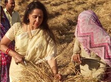 મત માટે ખેતરમાં ઘઉં કાપવા પહોંચી આ બોલિવૂડ એક્ટ્રેસ, જુઓ Pics