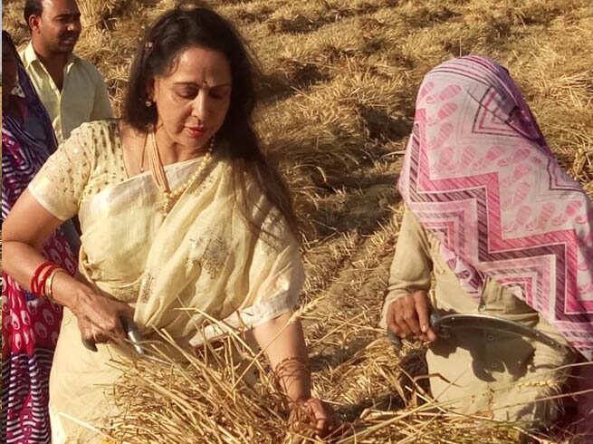 અહીં તેમણે ખેતરમાં કામ કરતી મહિલાઓની મુલાકાત લીધી હતી. એક્ટ્રેસ હેમા માલિનીએ નોમિનેશન સમયે સોગંદનામામાં તેની સંપત્તિ 101 કરોડ રૂપિયા જાહેર કરી છે. એફિડેવિટ અનુસાર ગત 5 વર્ષમાં તેમની સંપત્તિમાં 34 કરોડ રૂપિયાનો વધારો થયો છે.