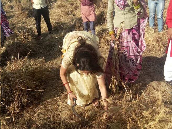 હેમા માલિનીએ તેનાં ચુંટણી પ્રચાર અભિયાનની શરૂઆત કંઇક એવાં અંદાજમાં કરી. પ્રચારની તસવીર તેમણે તેમનાં ટ્વિટર પેજ પર શેર કરી છે.