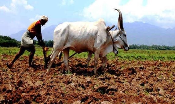 Bad news for farmers skymet predicts not normal monsoon ખેડૂતો માટે માઠા સમાચાર, જાણો કેટલા ટકા પડી શકે છે વરસાદ