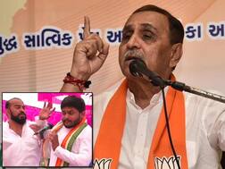 કોંગ્રેસના સ્ટાર પ્રચારક હાર્દિક પટેલને થપ્પડ મારવાને લઈને CM વિજય રૂપાણીએ શું કહ્યું? જાણો વિગત