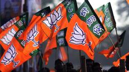 ભાજપના કયા નેતાએ રાહુલ ગાંધીને ગલૂડિયા સાથે સરખાવ્યા, જાણો વિગત