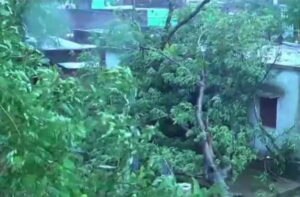 ક્યાંક ઘર પડ્યા ક્યાંક ઝાડ ઉખડ્યા, તસવીરોમાં જુઓ વાવાઝોડા   'ફાની'નો કહેર