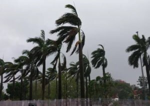 ક્યાંક ઘર પડ્યા ક્યાંક ઝાડ ઉખડ્યા, તસવીરોમાં જુઓ વાવાઝોડા   'ફાની'નો કહેર