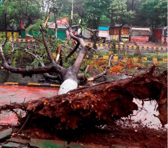 cyclone fani to hit odisha, see tragedy in photos ક્યાંક ઘર પડ્યા ક્યાંક ઝાડ ઉખડ્યા, તસવીરોમાં જુઓ વાવાઝોડા   'ફાની'નો કહેર