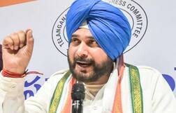 સિદ્ધુનું વધુ એક વિવાદાસ્પદ નિવેદન, BJP પ્રવક્તાની દેડકા સાથે કરી સરખામણી, જાણો વિગત