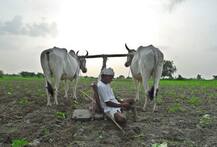 કેરળમાં ક્યારે થશે ચોમાસાનું આગમન ? કેટલા ટકા પડશે વરસાદ, જાણો વિગત