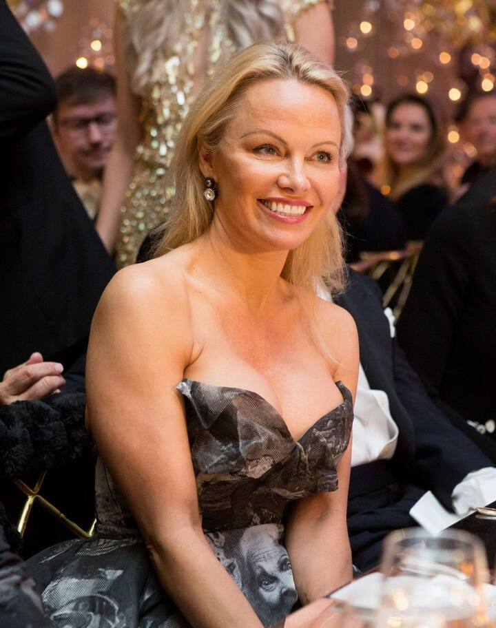  પામેલા એન્ડરસન કેનેડિયન-અમેરિકન એક્ટ્રેસ અને મોડેલ છે. તે ટેલિવીઝન સીરીઝ ‘બેવોચ’ અને V.I.Pમાં નજર આવી ચુકી છે.