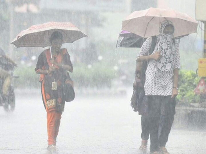 Monsoon Gujarat: 167 talukas in Gujarat receive ample rain ગુજરાતમાં સૌથી વધુ વરસાદ કઈ-કઈ જગ્યાએ ખાબક્યો? આ રહ્યા  છેલ્લા 24 કલાકના લેટેસ્ટ આંકડા