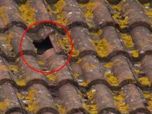 વેસ્ટ ઈન્ડિઝના કયા ક્રિકેટરે સિક્સર ફટકારીને સ્ટેડિયમની છતને પાડી દીધું કાણું, જાણો વિગત