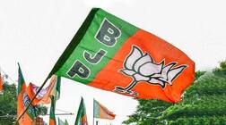 રાજ્યસભા ચૂંટણી: ભાજપે કયા બે ઉમેદવારોના નામ જાહેર કર્યા, જાણો વિગત