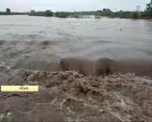 ગોંડલમાં 5 ઇંચ વરસાદ ખાબકતા ખેતરો ધોવાયા, જાણો ગુજરાતમાં ક્યાં કેટલો વરસાદ પડ્યો