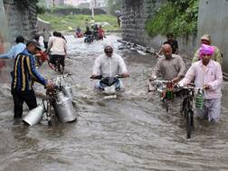 ઉમરપાડામાં 4 કલાકમાં 6 ઈંચ ધોધમાર વરસાદ, હવામાન વિભાગે શું કરી મોટી આગાહી? જાણો વિગત