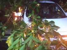 ગુજરાતમાં ગાજવીજ વરસાદ સાથે વીજળી પડતાં 6 બહેનોનાં એકના એક ભાઈ સહિત 3 લોકોનાં મોત થયા