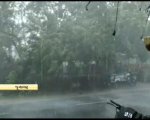 ગુજરાતમાં ક્યારે પડશે ભારે વરસાદ ? હવામાન વિભાગે શું કરી છે આગાહી, જાણો વિગતે