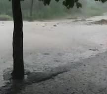 ગઢડાનો કયો ડેમ 12 વર્ષ બાદ ઓવરફ્લો થયો ? જાણો વિગત