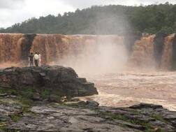 વઘઈમાં 11 ઈંચ વરસાદથી નદીઓ બની ગાંડીતૂર: જાણો દક્ષિણ ગુજરાતના વરસાદના લેટેસ્ટ આંકડા