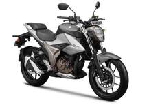 Suzukiએ લૉન્ચ કરી પાવરફુલ બાઈક Gixxer 250 , જાણો કિંમત અને ફિચર્સ