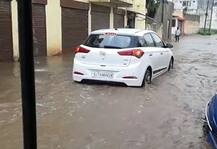 અમરેલી: રાજુલા પંથકમાં ધોધમાર વરસાદ, ખેડૂતોમાં ખુશીનો માહોલ