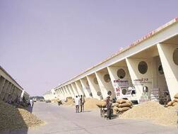 2 ટકા TDSના વિરોધમાં આવતીકાલથી સૌરાષ્ટ્રના તમામ માર્કેટ યાર્ડ બે દિવસ બંધ