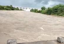 ગુજરાતમાં છેલ્લા 24 કલાકથી મેઘમહેર, રાજકોટ, પોરબંદર, પાલિતાણામાં ધોધમાર વરસાદ