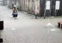 જૂનાગઢ જિલ્લામાં મેઘરાજાની ધમાકેદાર એન્ટ્રી, માળીયા, મેંદરડામાં ધોધમાર વરસાદ