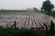 રાજ્યના 91 તાલુકામાં મેઘમહેર, અમરેલીના ખાંભામાં સૌથી વધુ 6 ઈંચ વરસાદ