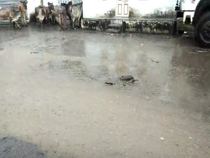 Rain in Jafrabad of Amreli on third continue day અમરેલીઃ જાફરાબાદમાં સતત ત્રીજા દિવસે પડ્યો વરસાદ, રાજુલામાં પણ મેઘમહેર