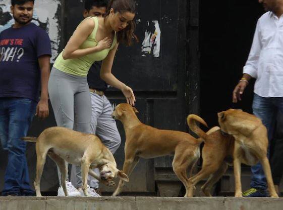 શ્રદ્ધા આગામી ફિલ્મ સ્ટ્રીટ ડાંસર 3ડીમાં નજરે પડશે. જેનું નિર્દેશન બાગી 3ના અહમદ ખાન કરશે. ફિલ્મમાં તેની સાથે ટાઇગર શ્રોફ નજરે પડશે.