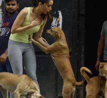 શૂટિંગમાંથી આવતી શ્રદ્ધા કપૂરને ઘેરી વળ્યા શેરી કૂતરા, સામે આવી તસવીરો