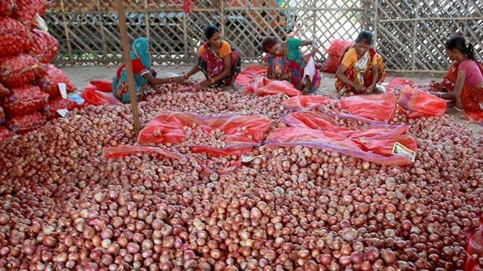 Government bans export of onions with immediate effect to curb rising prices ડુંગળીના ભાવને લઇને સરકારનો મોટો નિર્ણય, નિકાસ પર તત્કાળ અસરથી લગાવ્યો પ્રતિબંધ