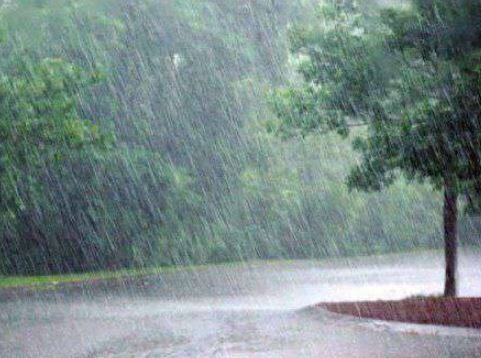 Due to heavy rainfall the crop failed in gujarat રાજ્યમાં અતિવૃષ્ટીના કારણે ખેડૂતોમાં ચિંતા, કપાસ, મગફળી સહિતના પાકો નિષ્ફળ જવાને આરે