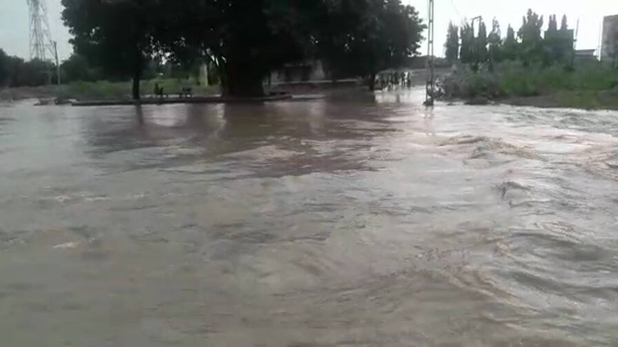 અમરેલીમાં ધોધમાર વરસાદઃ કમીગઢની નદીમાં પૂર આવતાં કોઝવે પર ફરી વળ્યા પાણી Kamigadh cause way drown after flood in river of Amreli district અમરેલીમાં ધોધમાર વરસાદઃ કમીગઢની નદીમાં પૂર આવતાં કોઝવે પર ફરી વળ્યા પાણી