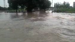 અમરેલીમાં  ધોધમાર વરસાદઃ કમીગઢની નદીમાં પૂર આવતાં કોઝવે પર ફરી વળ્યા પાણી