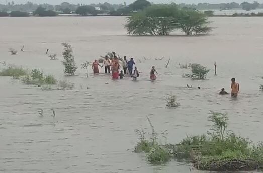 8 Inch Heavy Rainfall in Rajula at last three hours  ગુજરાતના કઈ બે જગ્યાએ આભ ફાટ્યું? માત્ર 3 કલાકમાં 7.5 ઈંચ વરસાદ ખાબક્યો? જાણો વિગત