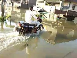 અમરેલીઃ રાજુલામાં ધોધમાર 7 ઇંચ વરસાદ પછી સોસાયટીઓ પાણીમાં ગરકાવ