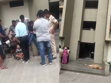 અમદાવાદઃ ખોખરામાં મહિલાએ 13માં માળેથી ઝંપલાવ્યું, નીચે ઉભેલા યુવક પર પડતાં બંનેના મોત