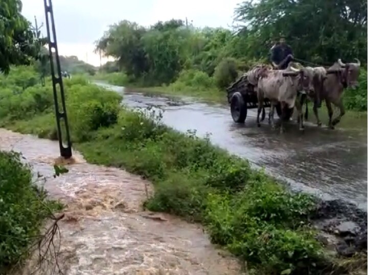 Three inch rain fall in just one hour at rural area of gir somnath ગીર સોમનાથના ગ્રામ્ય વિસ્તારોમાં ગાજવીજ સાથે એક કલાકમાં 3 ઈંચ વરસાદ ખાબક્યો, ખેડૂતોની વધી ચિંતા