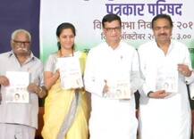 આરે ઇફેક્ટઃ કોગ્રેસ-NCPએ જાહેર કર્યો ચૂંટણી ઢંઢેરો, ગ્લોબલ વોર્મિગને બનાવ્યો મુદ્દો