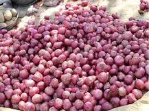 ફરી રડાવી શકે છે ડુંગળી, આ કારણે આવ્યો ભાવમાં ઉછાળો, જાણો વિગત