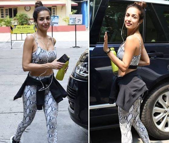 મલાઈકાનો આ હોટ અંદાજ જોઈ ફેન્સ પણ દિવાના બન્યા છે. મલાઈકાના જિમ હોટ લૂકની તસવીરો ઈન્સટાગ્રામ પર ઝડપથી વાયરલ થઈ રહી છે.