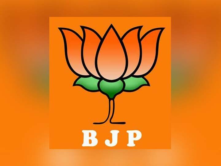 BJP Candidate Alpesh Thakur's controversial statement in Radhapur  ‘કોંગ્રેસમાં હું ધારું તેને આખા દેશમાં ટીકીટ અપાવી શકતો હતો’ આવું ભાજપના કયા નેતાએ આપ્યું ચોંકાવનારું નિવેદન? જાણો વિગત